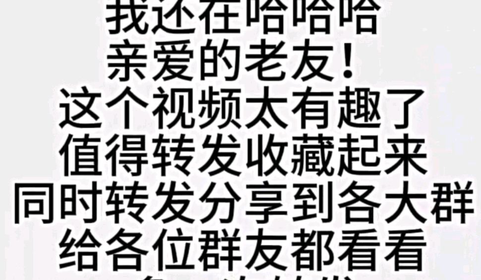 九日一曰小//截屏编辑《老年人在网络上的风采》（图5）