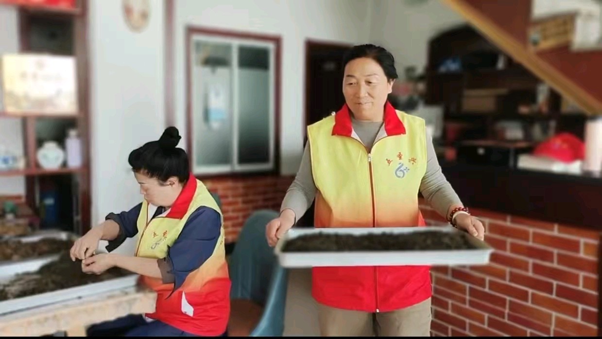 志愿暖心助康养 食叶好茶惠民生（图4）