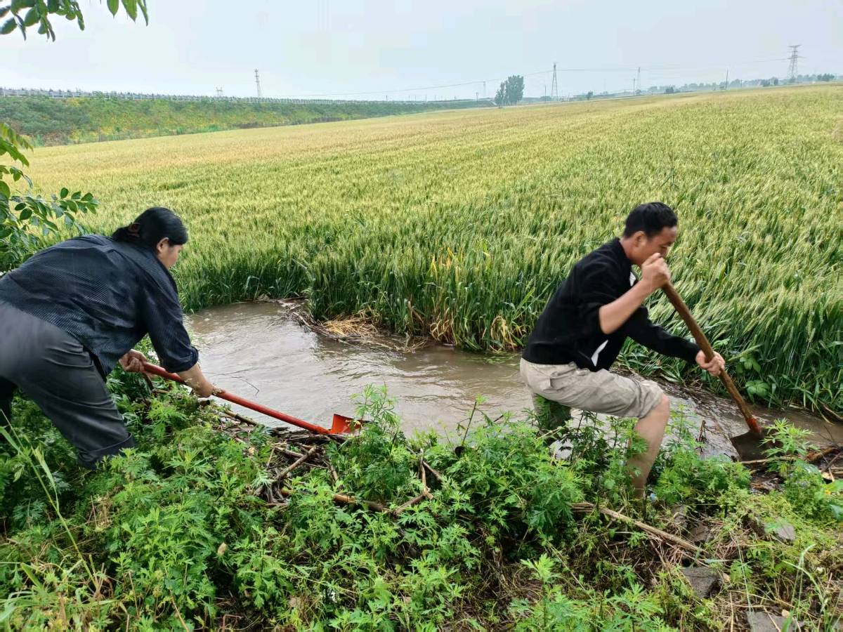 宝丰商酒务镇:以迅应汛筑牢防线 多措并举守护民生