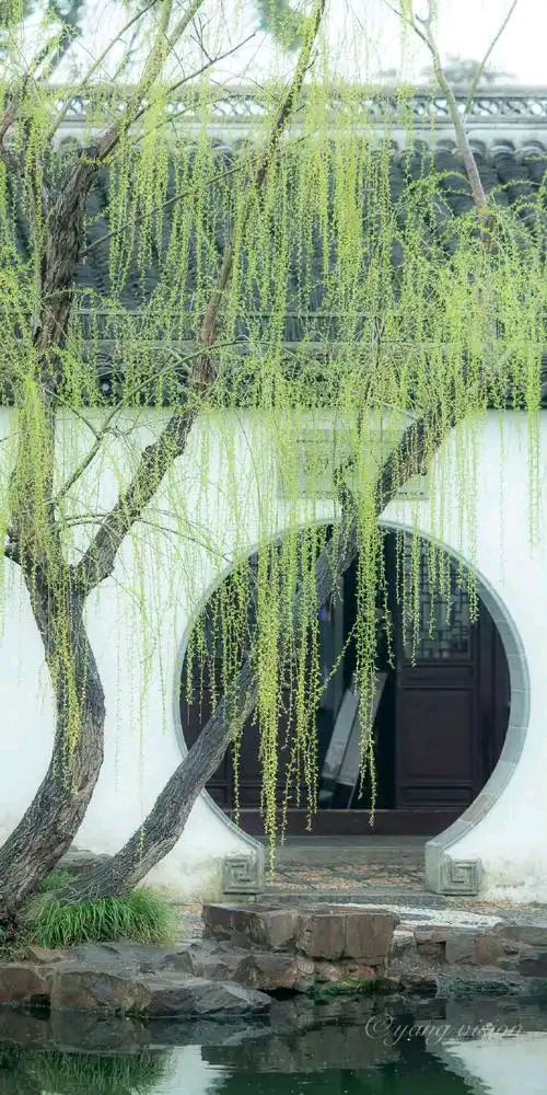 秦世忠:诗歌选粹||巴彦诗协【1148】(图27)