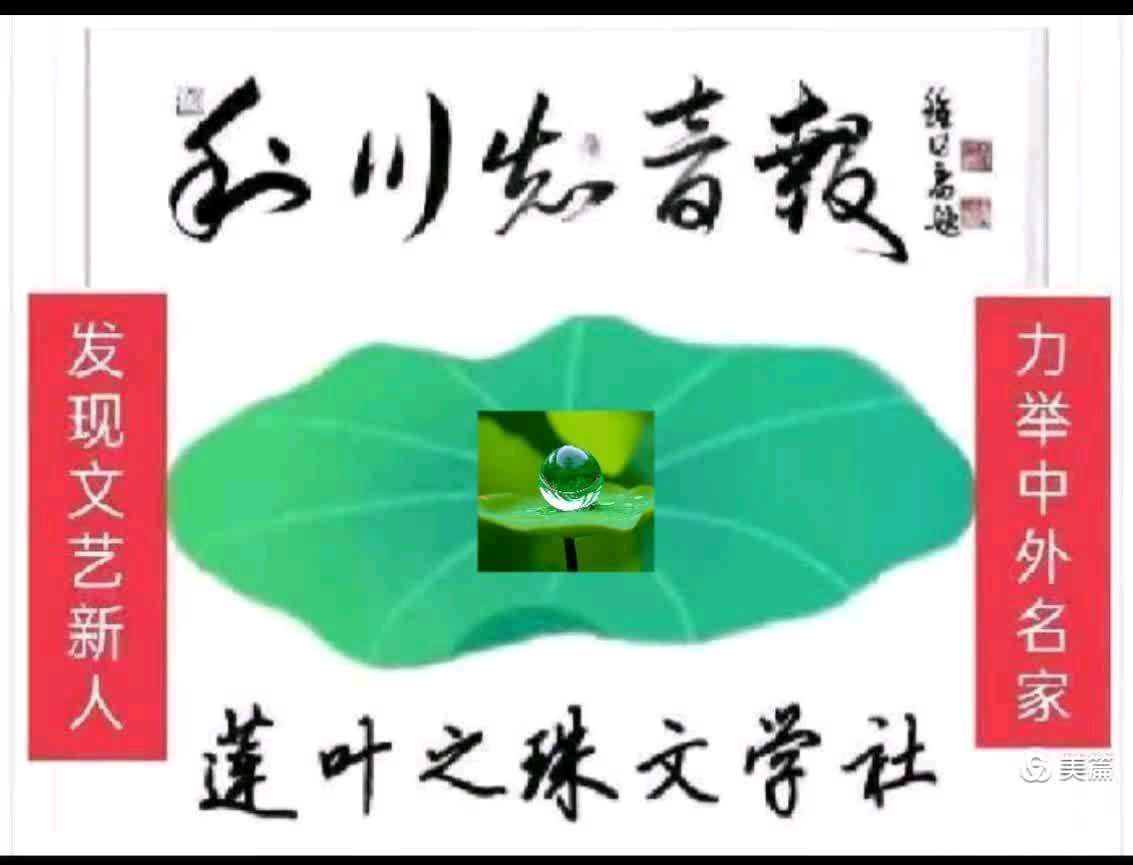 【昊昊海峡新干线副刊】她触碰我心底深处的眷恋（作者：昊昊/中国台湾）……莲叶之珠文学社（图2）