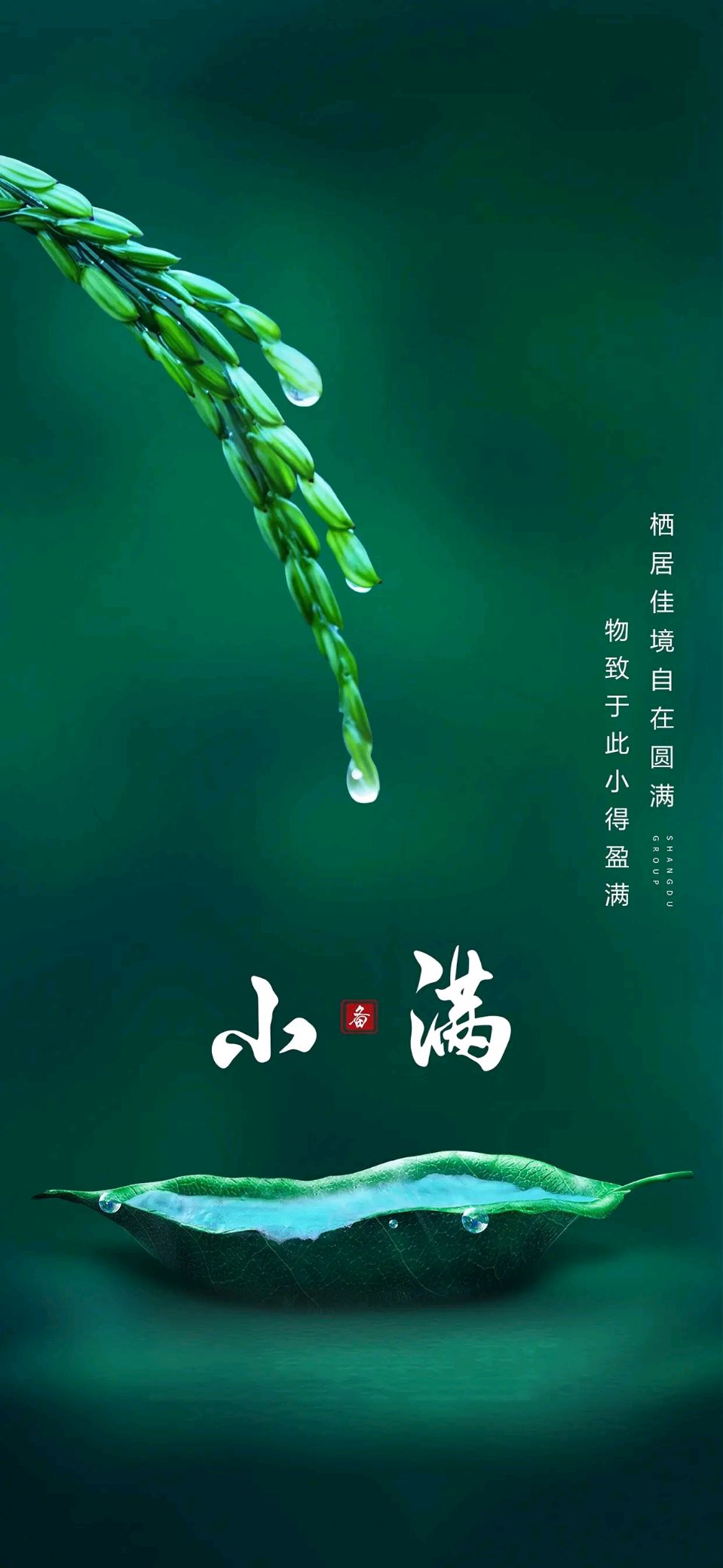 罗马假日（廖庆玉）导师精彩小满佳作暨其他被书法家们纷纷泼墨挥毫的诗词与君共赏（图6）