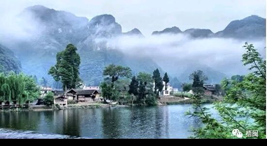 梦里水乡 '紫泥公社' /梧闽（图40）
