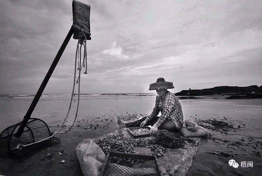 梦里水乡 '紫泥公社' /梧闽（图41）