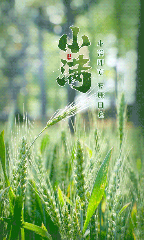 囯风总社-269‖丙午小满(合刊)北京头条(图2)