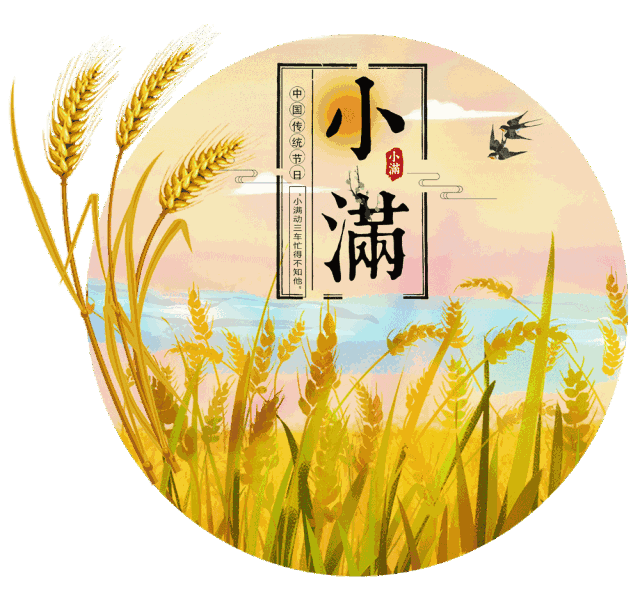 囯风总社-269‖丙午小满(合刊)北京头条(图22)