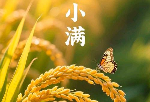【数来宝】《小满时节》作者: 强军/陕西宝鸡（图2）