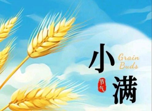 【数来宝】《小满时节》作者: 强军/陕西宝鸡