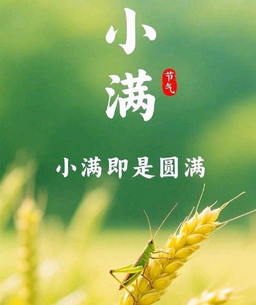 【数来宝】《小满时节》作者: 强军/陕西宝鸡（图3）