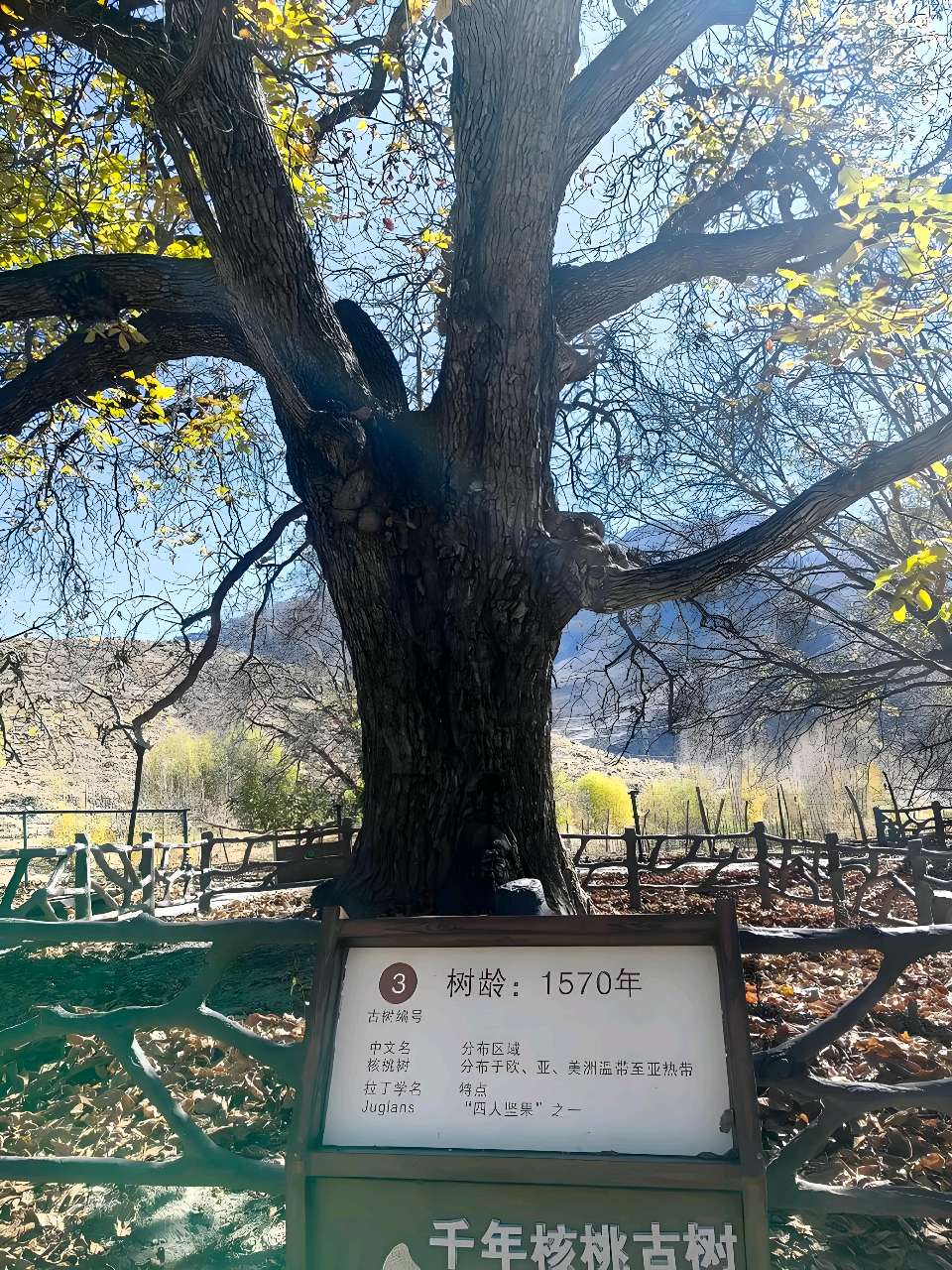 新疆行吟·绝句三首 / 邓世广（图4）