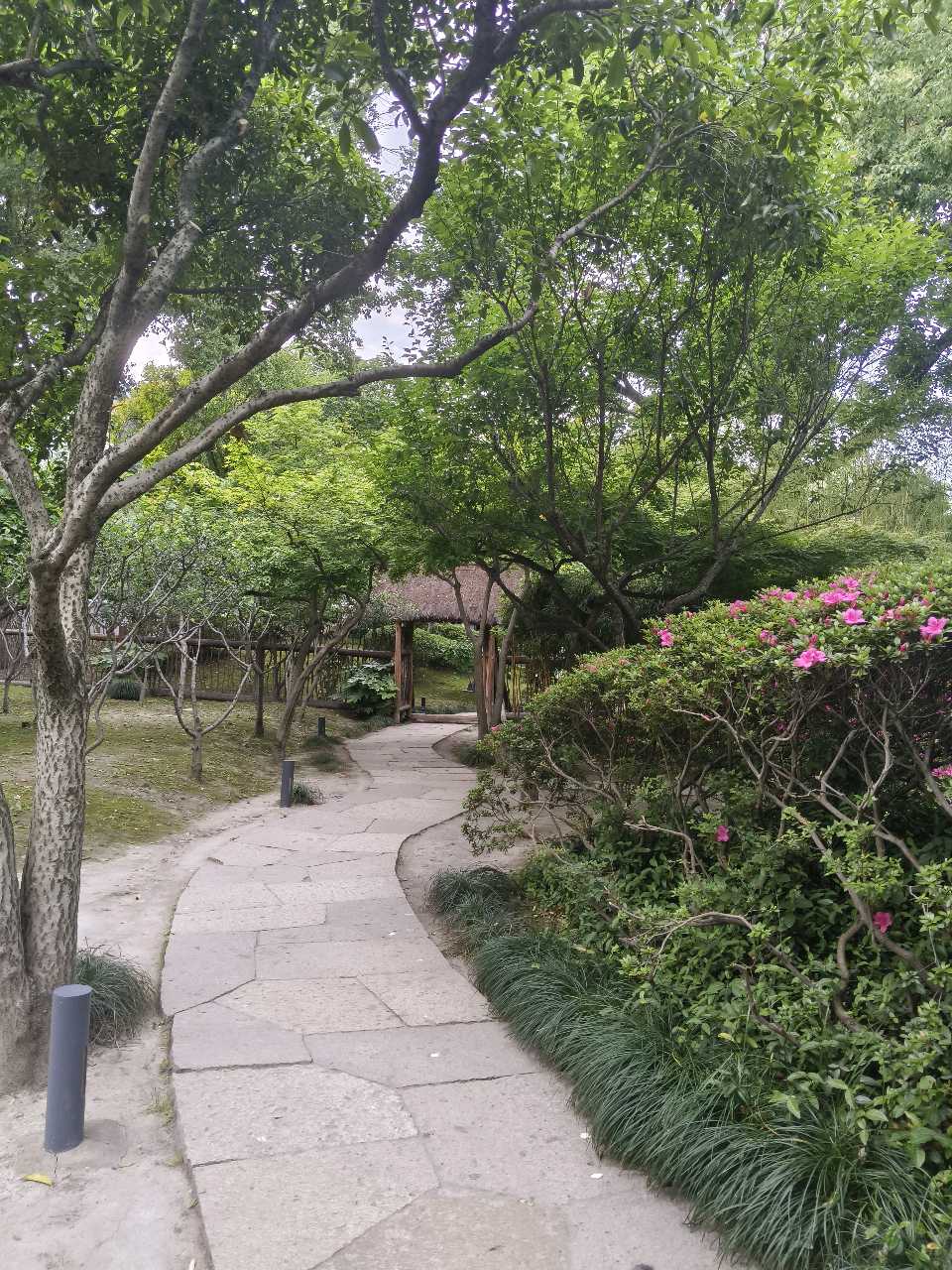 一船绍兴，半生旧梦｜刘爱粉（图7）