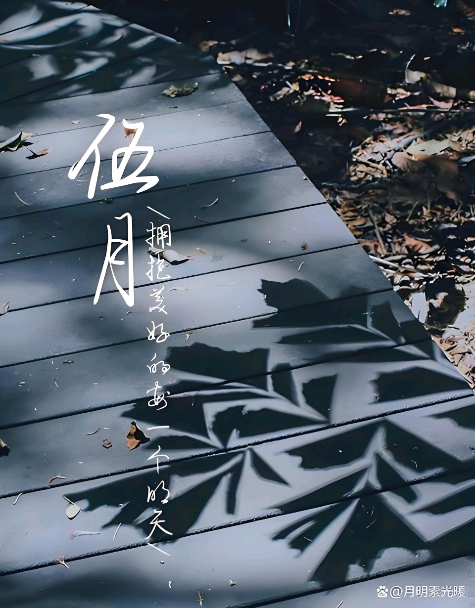 中华红旗国际诗社~北京头条~是谁向五月写满诗意:作者/雨下罗加:朗诵/边城(图4)