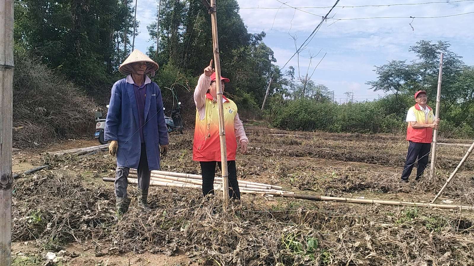 脚沾田间土 走访听心声（图3）