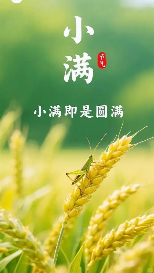 【燕赵文学】诗歌：雨中行（外二首）河北/康秀炎（图2）