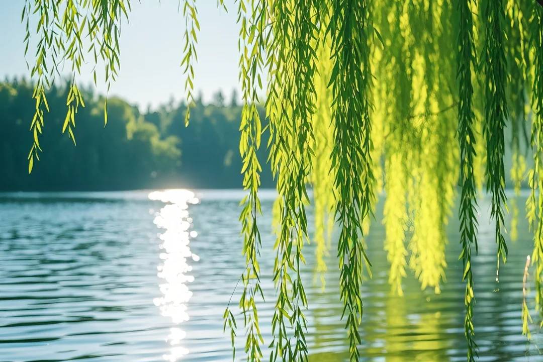 七绝·自由飞翔（ 中华新韵 ）藏头诗 作者/周凰（图2）