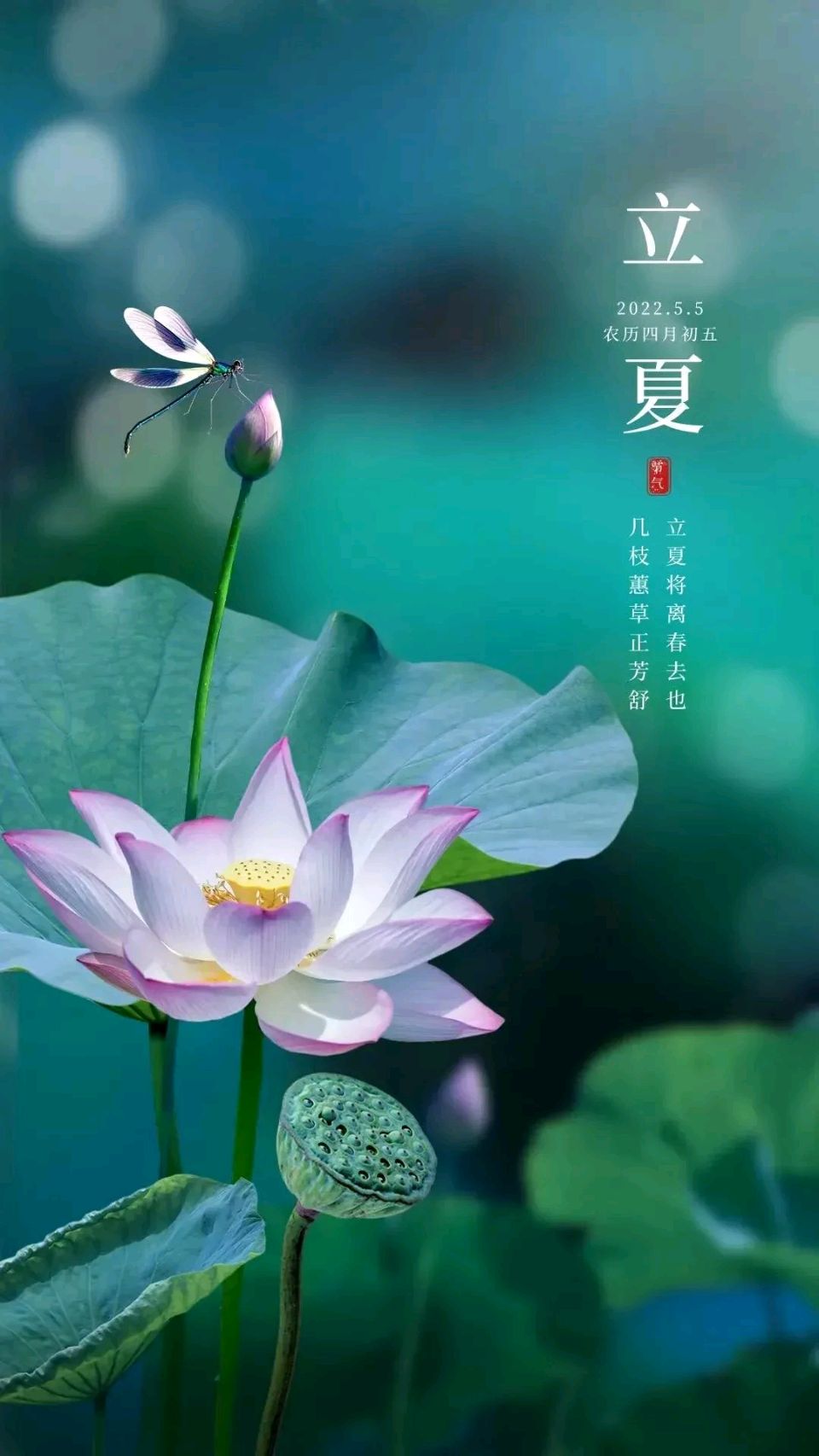 【燕赵文学】诗歌：五月（外二首）（王春魁/河北）（图3）