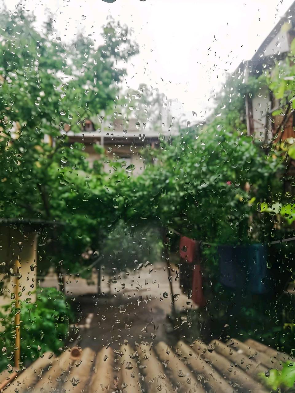 《五月的雨》文/幽兰 诵/老燈（图2）