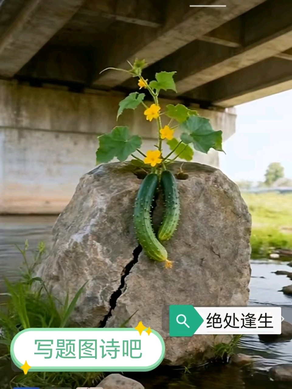 兰韵诗词《题图诗》同题跟帖总第期347期（图4）