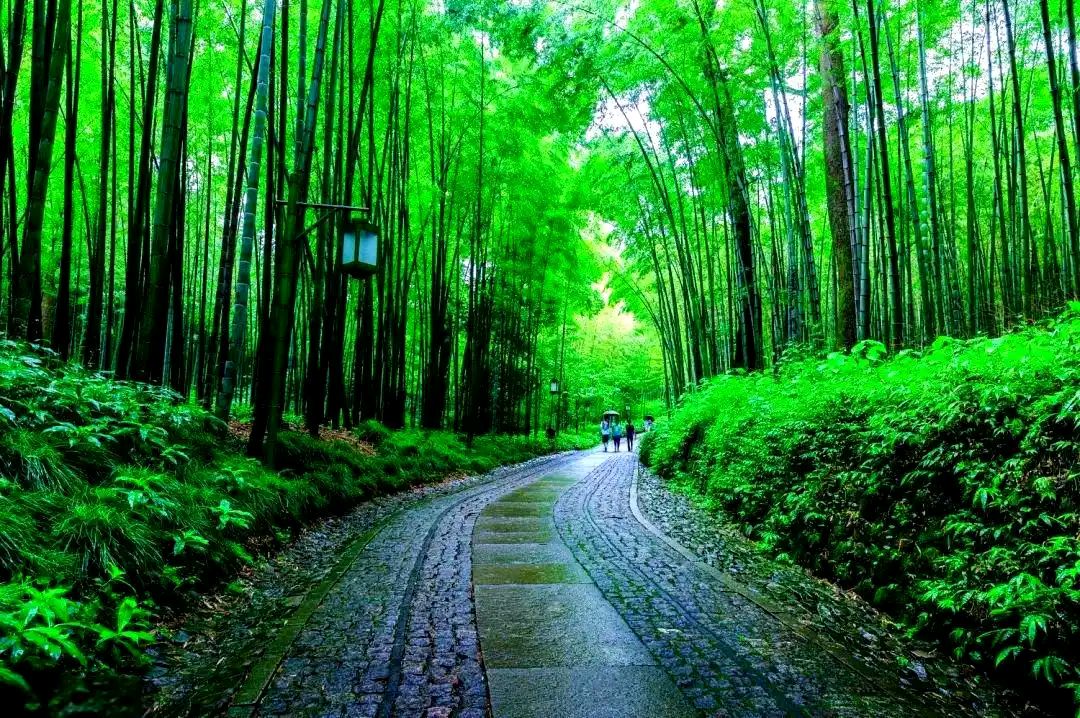 【明心文学】李有仁/诗三首 主播/薇薇（图3）