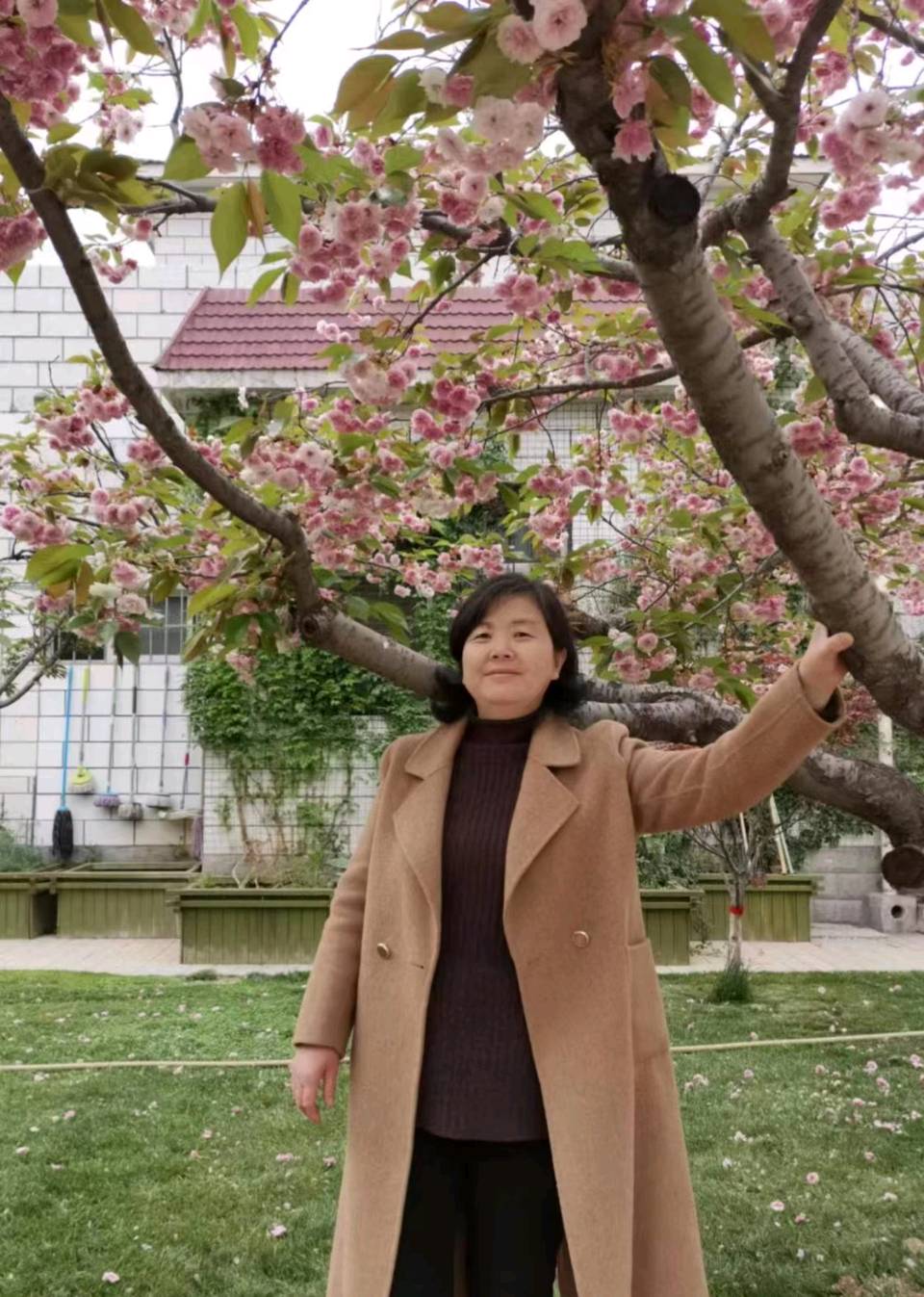 中华红旗国际诗社~北京头条~雪停了，我的思念落了一地:作者/王宏宇:主播/金苹果（图8）