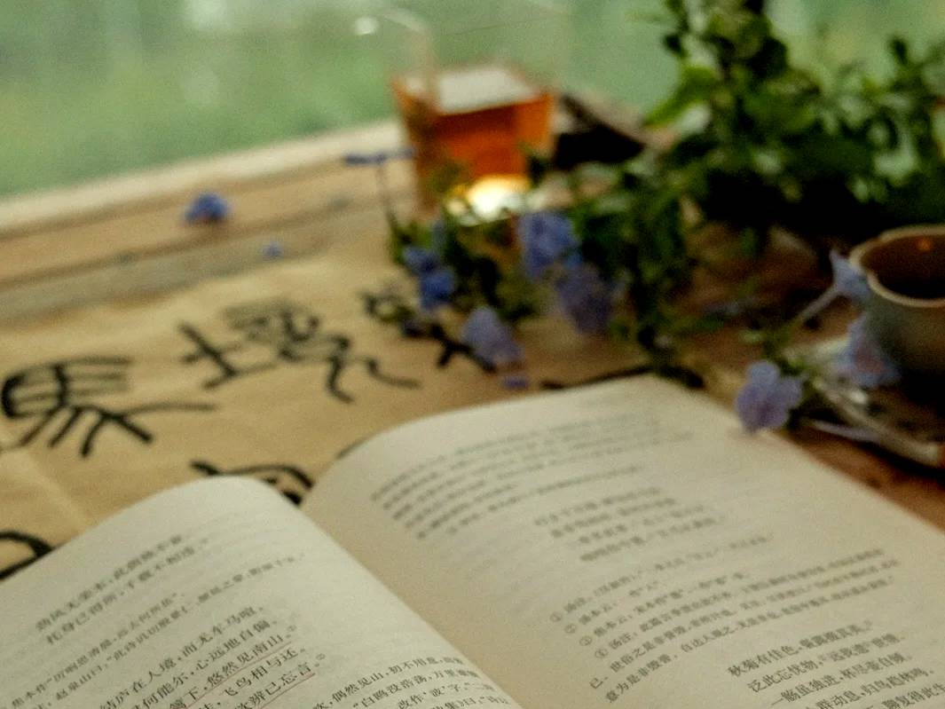 闲抛冗事忧烦去，再踏新程好运来——兵网文创中心诗词部159期作品集（图28）