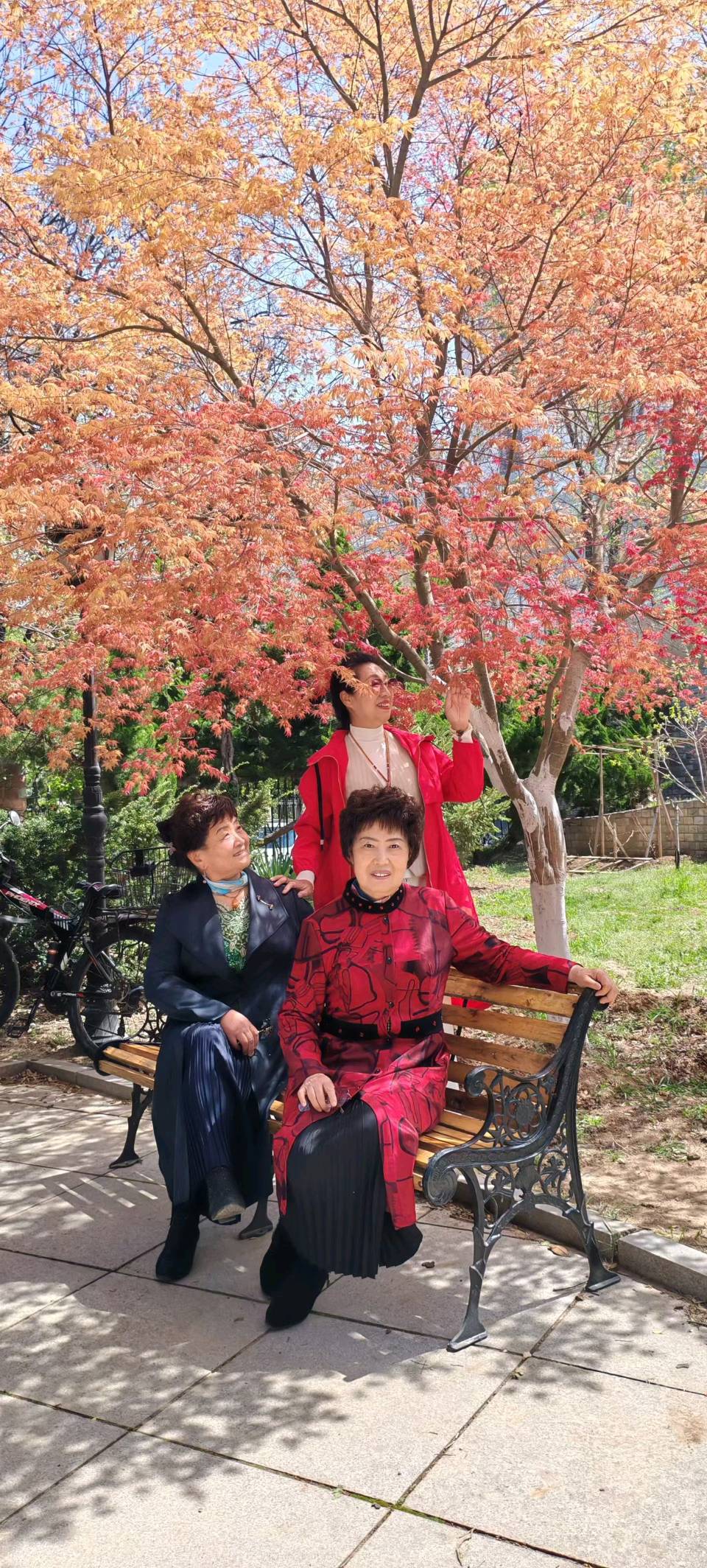 铁魂《贺大连老干部大学建校四十周年》（图3）