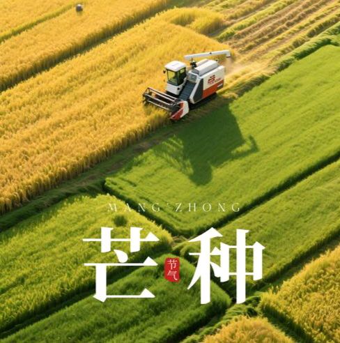 【散文】《时逢芒种 岁岁耕耘皆可期》作者: 强军/陕西宝鸡(图8)