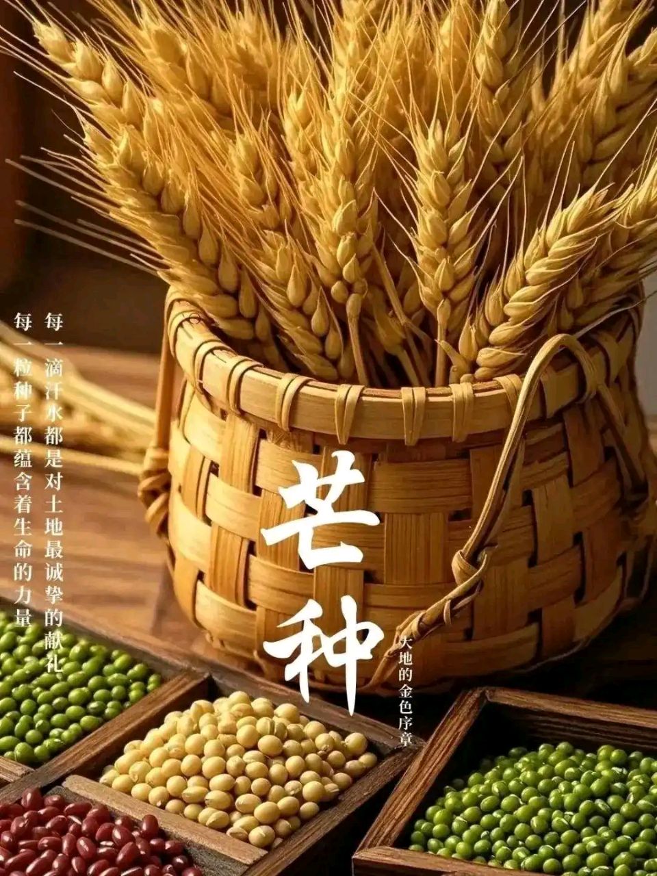 NO:032《山水怡情》文学社 “六一”欢庆迎芒种,虹桥大道喜通衢!(图7)