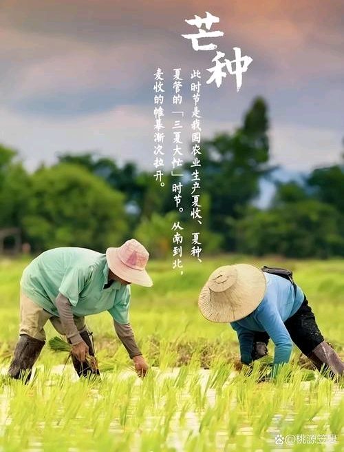 NO:032《山水怡情》文学社 “六一”欢庆迎芒种,虹桥大道喜通衢!(图13)