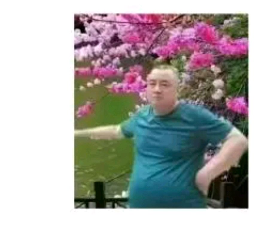 陕西西安作家王博//党益民先生行书《春和景明》艺术特征解析