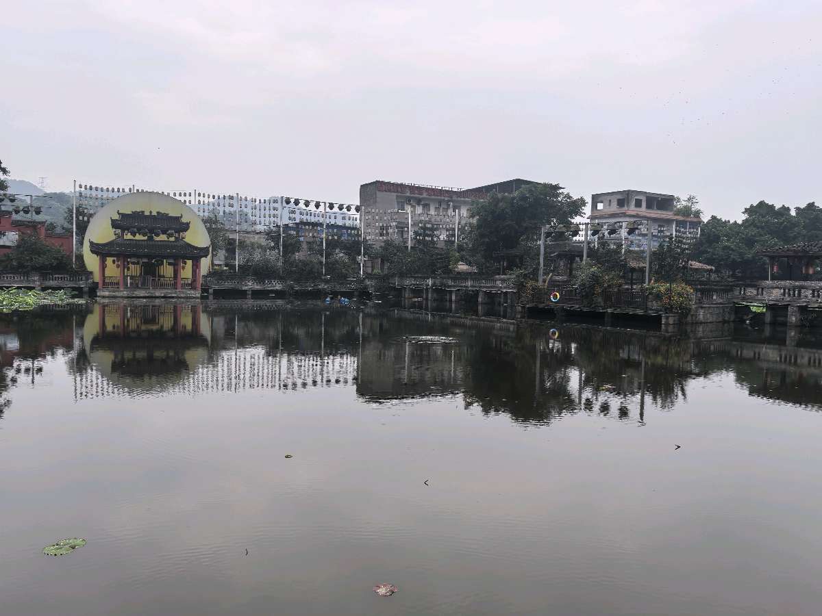 「散文」雨游鲜龙井，姐妹情长醉南山（图3）