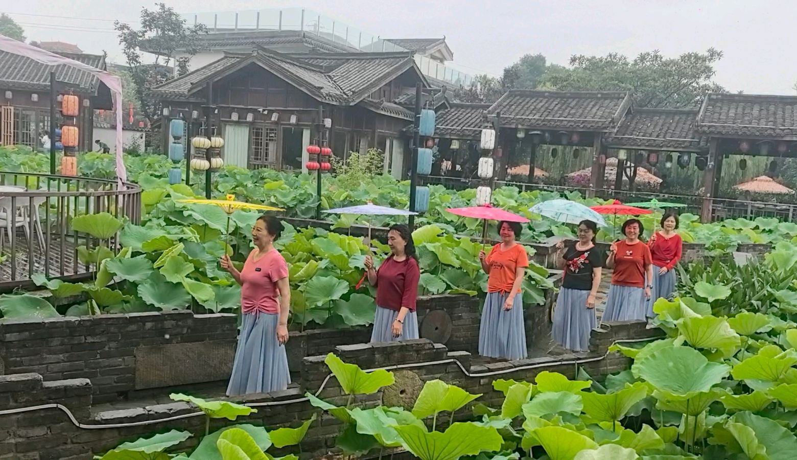 「散文」雨游鲜龙井，姐妹情长醉南山（图35）