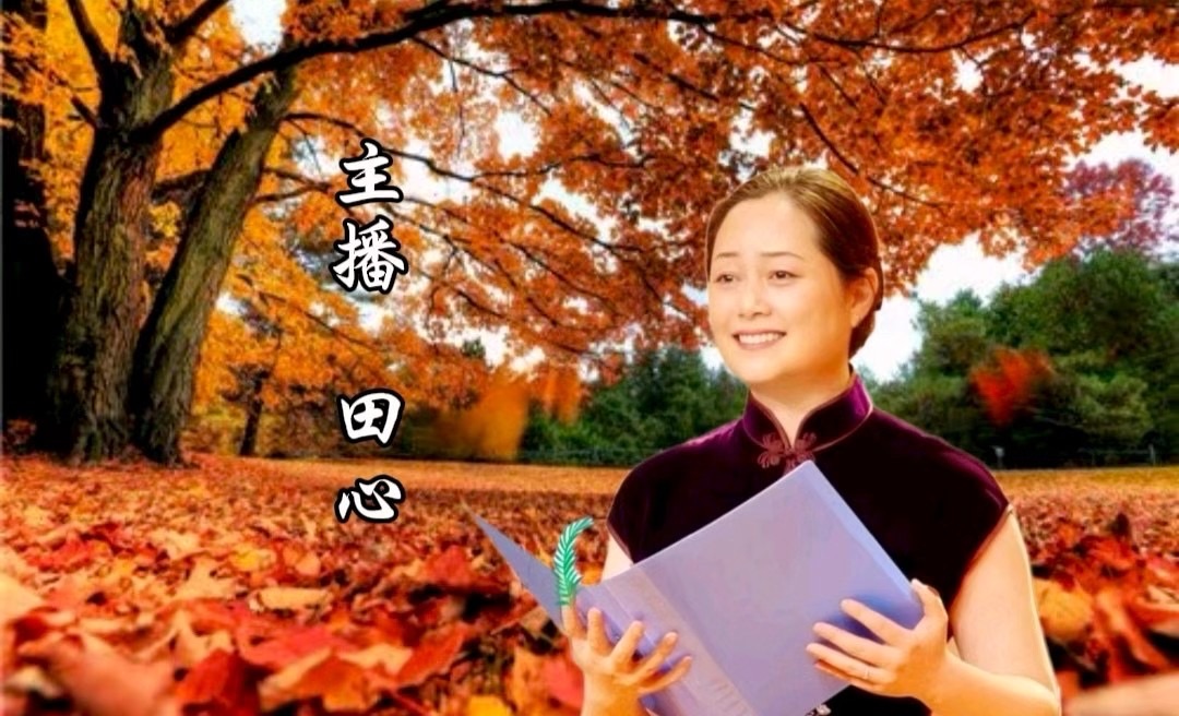 请欣赏《自度曲·七一感赋》作者/石城吴钩 主播·编辑/田心【中国长江文学社】有声文学平台【第18750期】（图6）