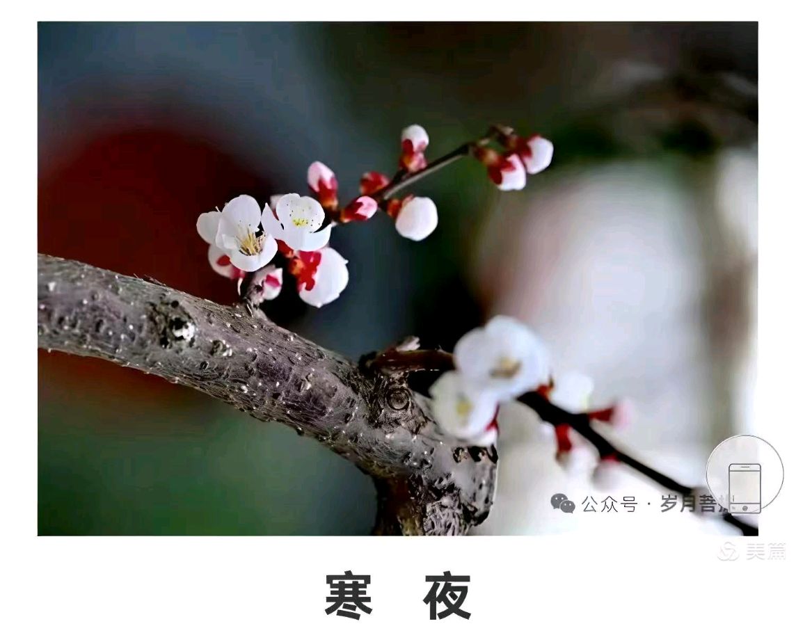【燕赵文学】诗书合璧：组诗/王少英，书法/朱兵（图21）