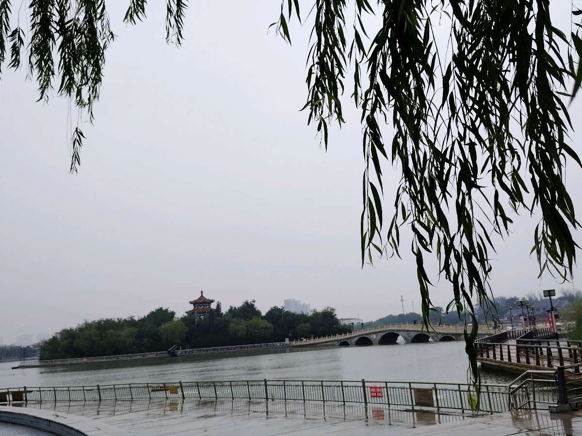 【都市头条向幸福出发编辑部】第16072期 夏至感怀 文 如月 主播 浩素（图3）