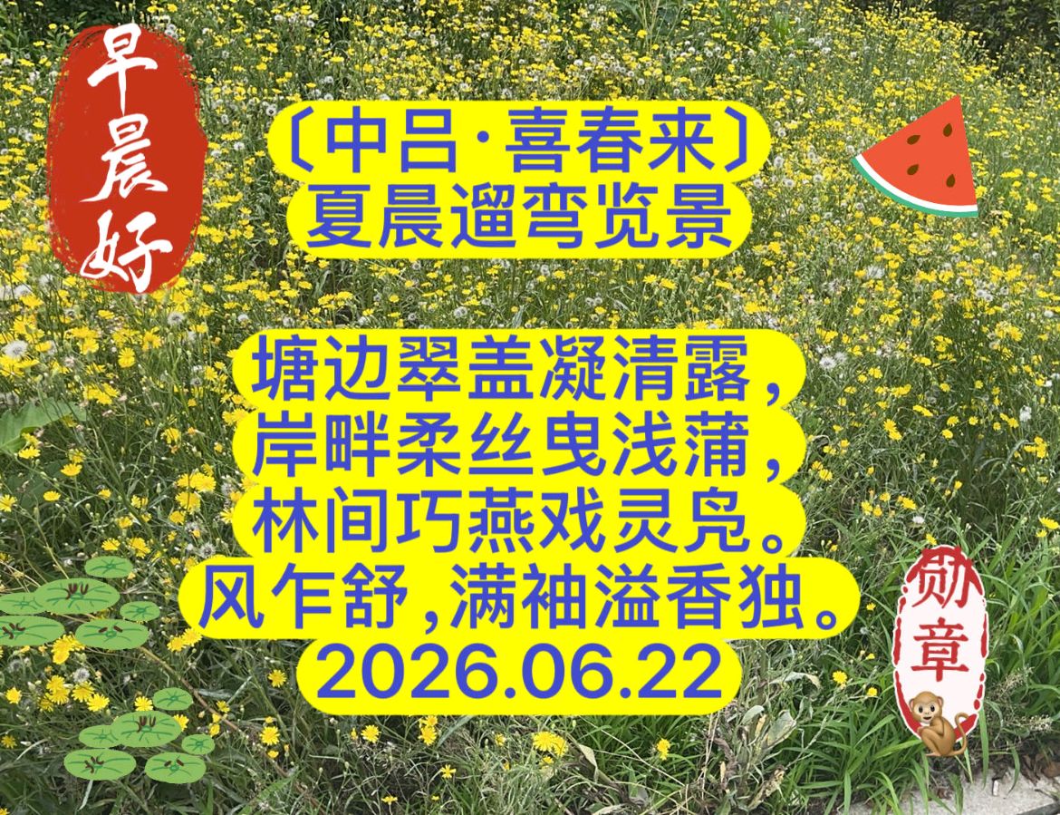 【北京头条】孙勋章晨卡专辑036期（图12）