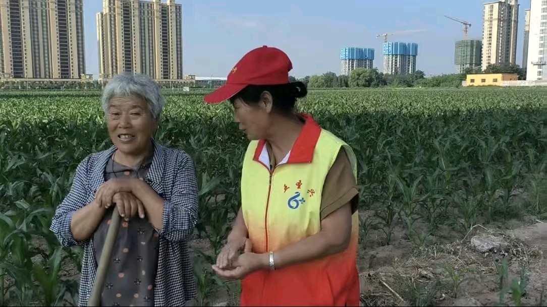 田间走访暖民心 志愿帮扶解农忧（图2）