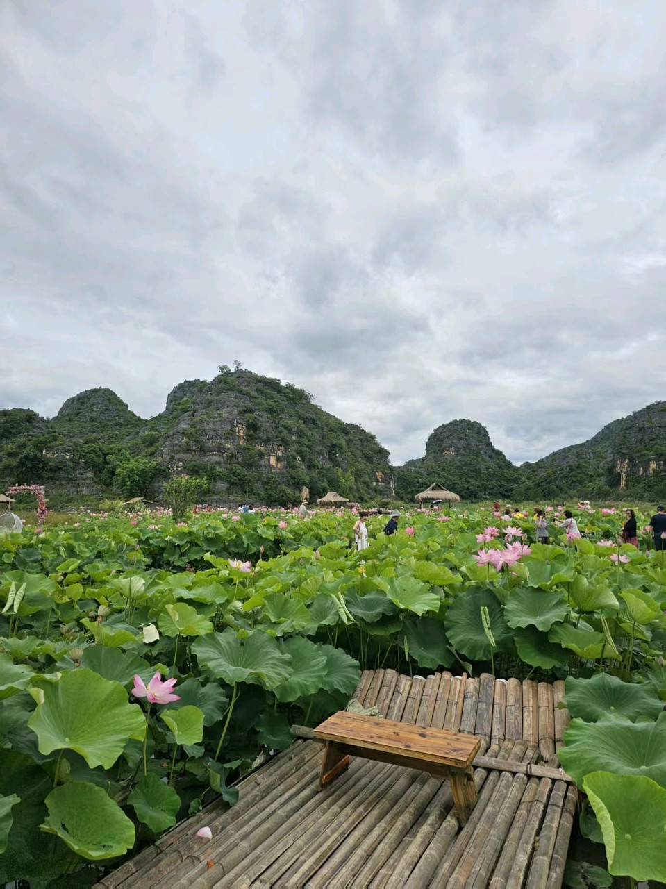 七绝诗~中华新韵（附趣联征联）文/詹成（图3）