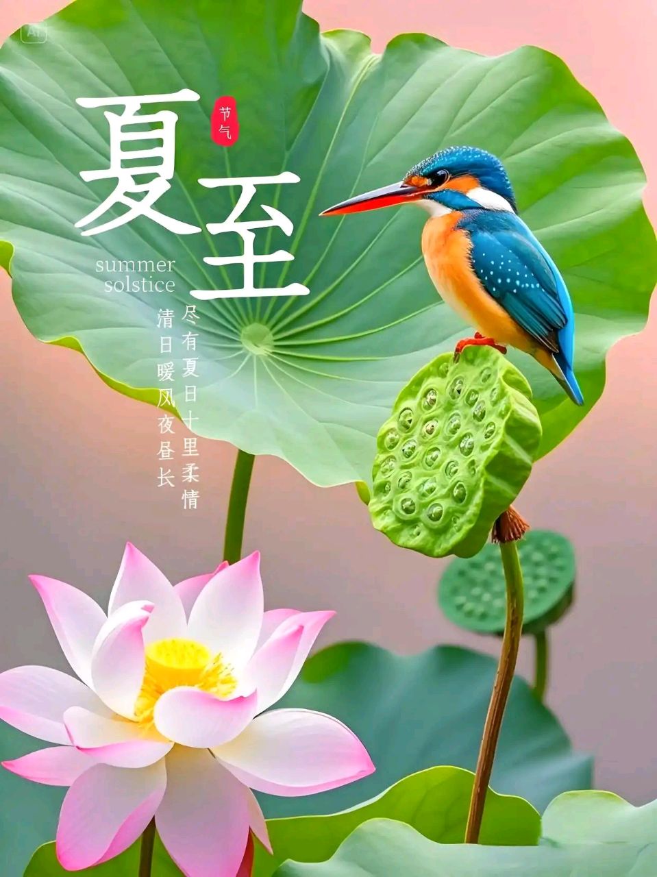 【新山东文学社】《五绝.夏至郊行(十首)》作者/朱守平 主播/苏宁(图5)