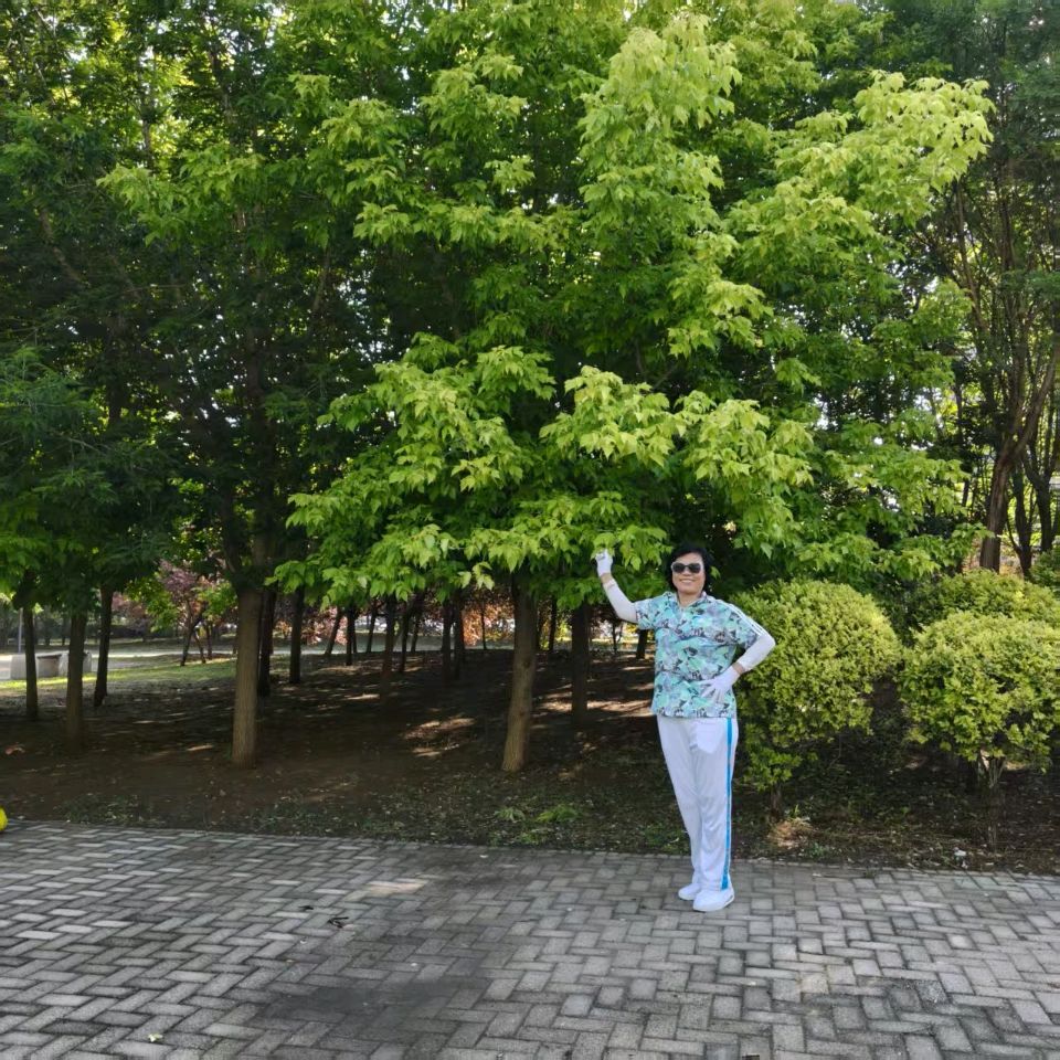 浪淘沙·独步丁香湖/作者：芷兰（图8）