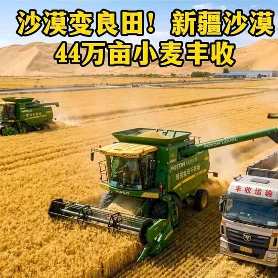 【荣耀中国】深圳分社*鹧鸪天.赞新疆沙漠44万亩小麦丰收作者/戴建中（江苏）（图5）