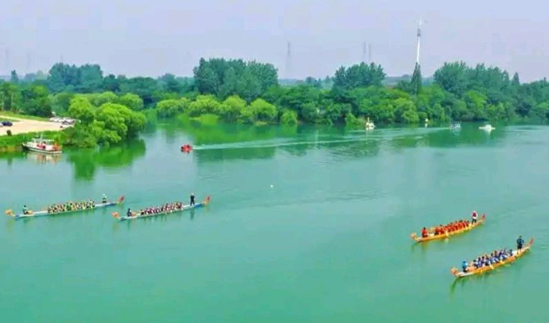 1573天木雨露：职场的底层生存法则（图5）
