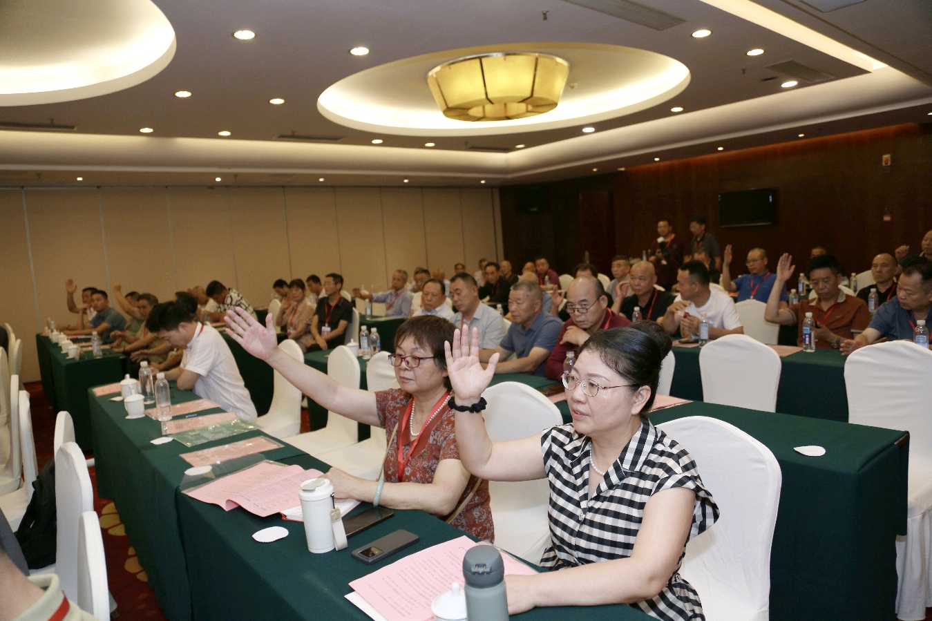 ㊗️贺《世界胡氏通谱·湘潭分卷》编纂筹备会暨湖南省湘潭县湖湘文化交流促进会选举大会顺利召开（图6）