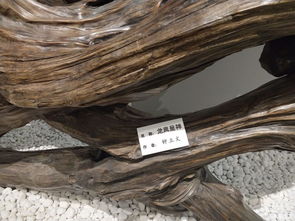 请欣赏《诗三首》作者：吴石宝 主播/编辑/治新【中国长江文学社】有声文学平台【第18707期】（图5）