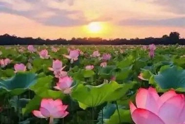 【卓然艺术联盟】 蝉唱七月｜ 作者：奇峰 朗诵：孺子牛（总3514期）（图5）