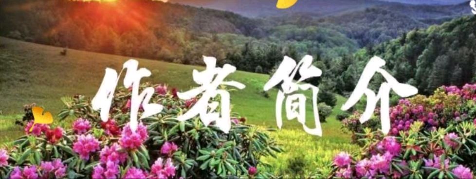 【荣耀中国】深圳分社*留不住，那就放过吧 作者/田向洪（否及泰来）（图6）