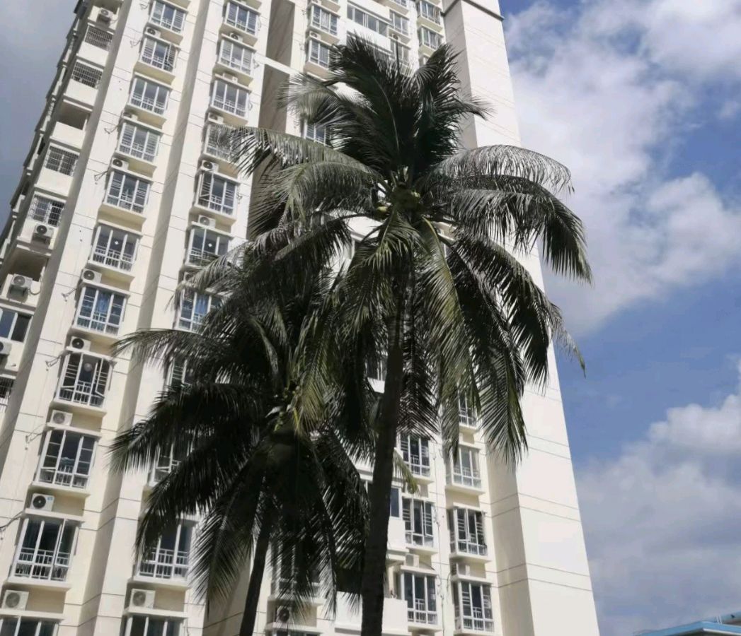 【东林北方诗社】隆重推介杨学彩《诗词二首》编辑周霞‖主播晓梅‖音审星玉‖刊头淘淘‖总第6115 期（图3）