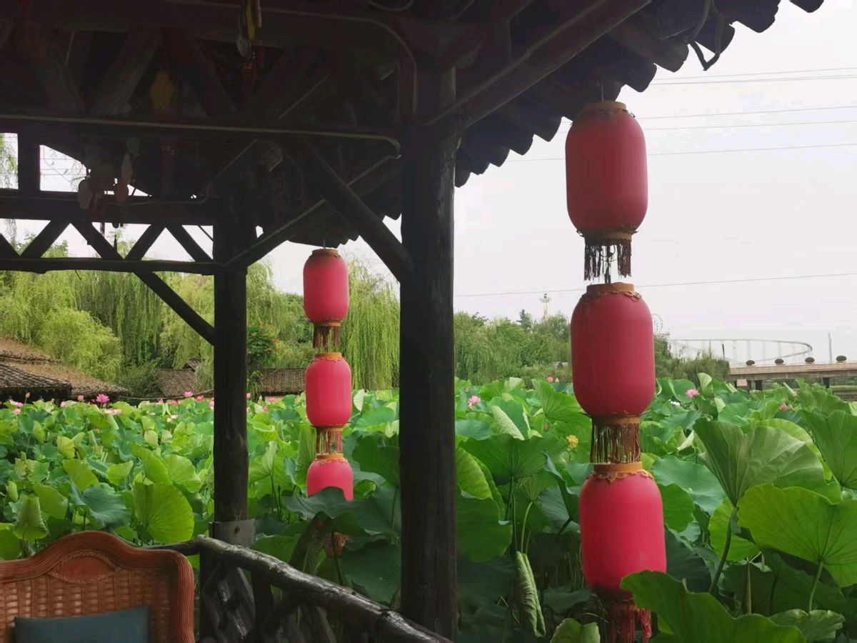 梁喜红(陕西)‖水街莲语(图6)