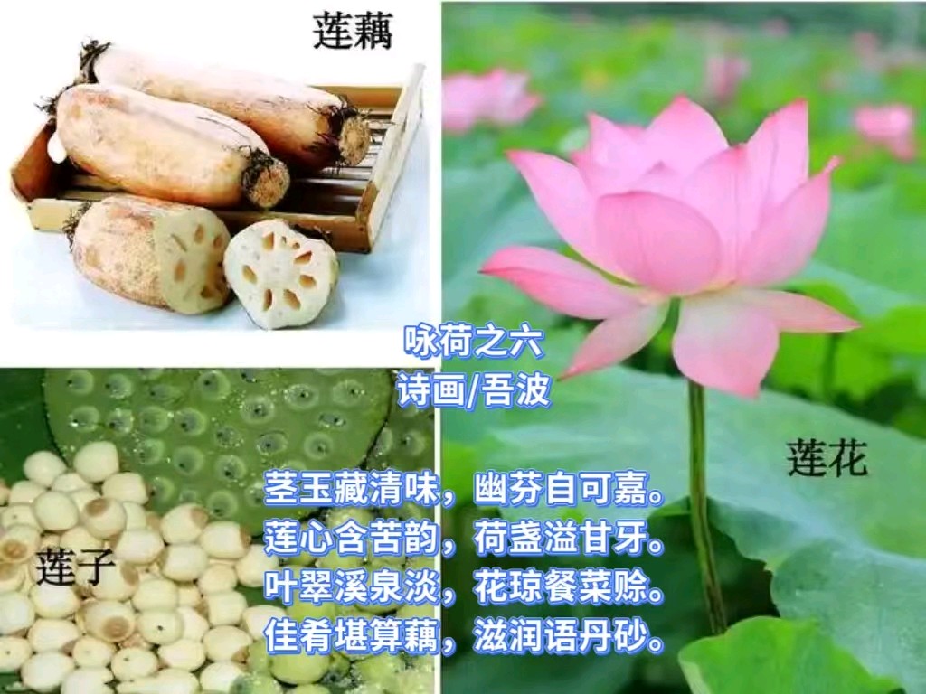 【诗生活】古韵飘香第340期（题图）（图9）