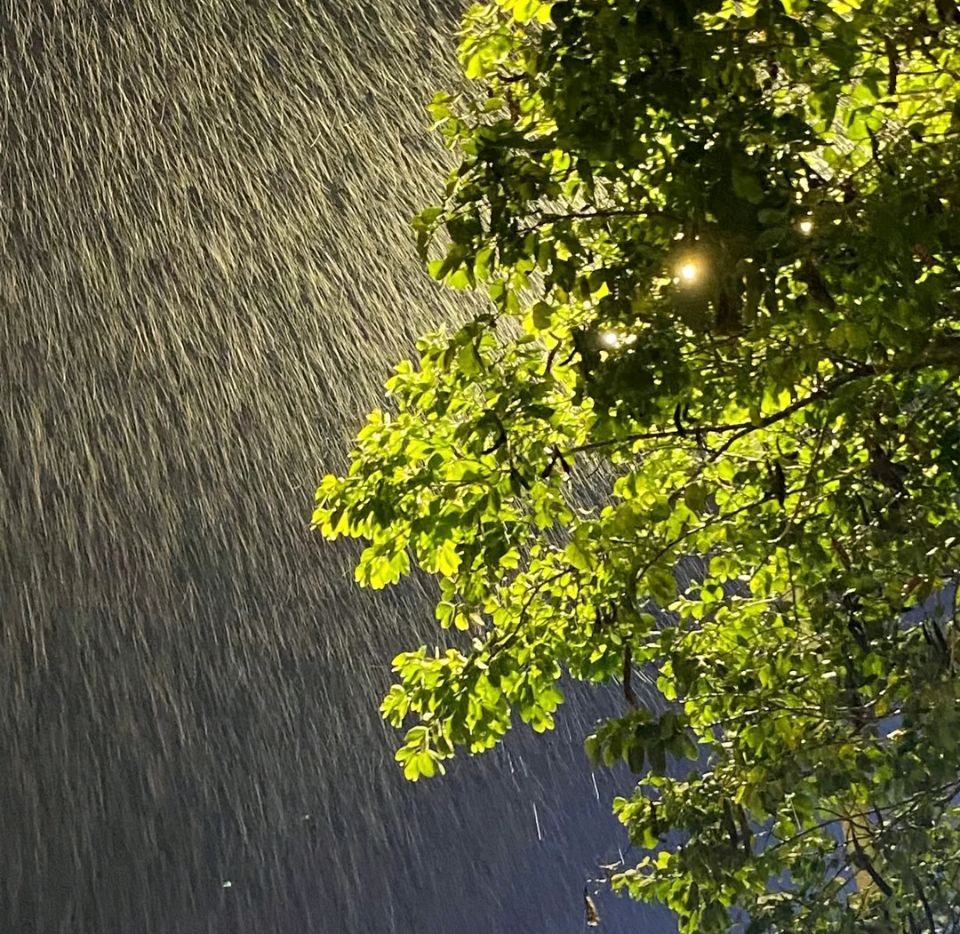 蓝树叶2026年6月第三期积分同题诗（图19）